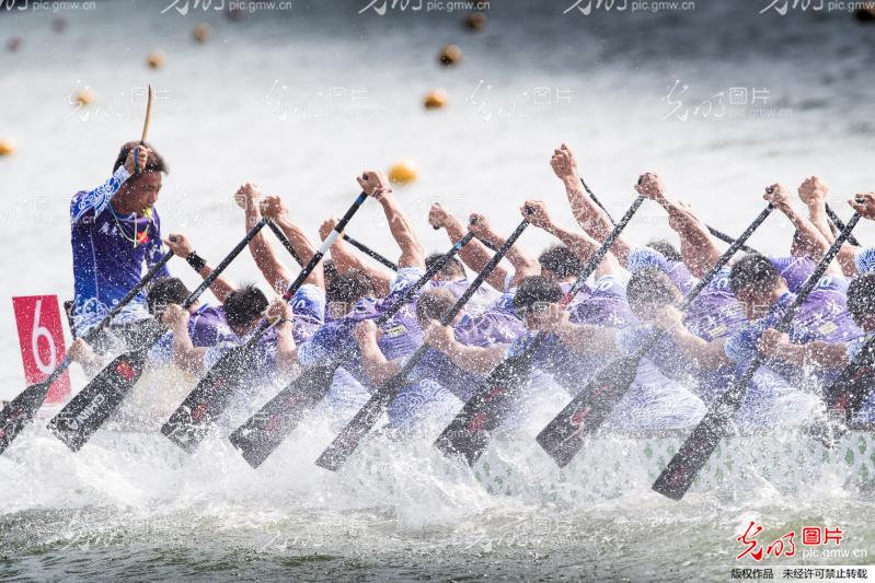 湖南龍船比賽視頻觀看與體驗指南，精彩瞬間一網(wǎng)打盡！