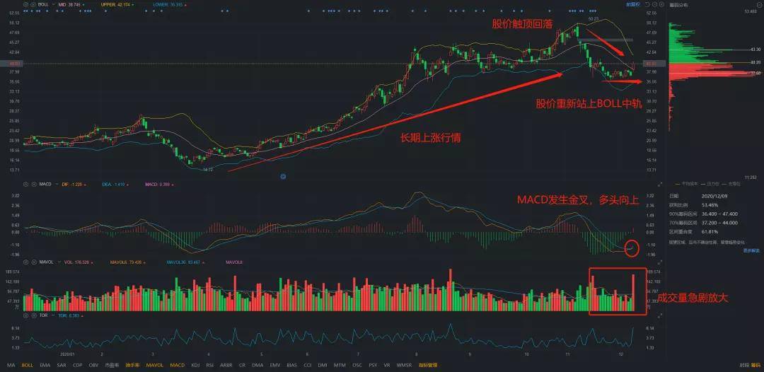 歌爾股票，小巷深處的隱藏寶藏揭秘，特色小店的股市奇妙之旅