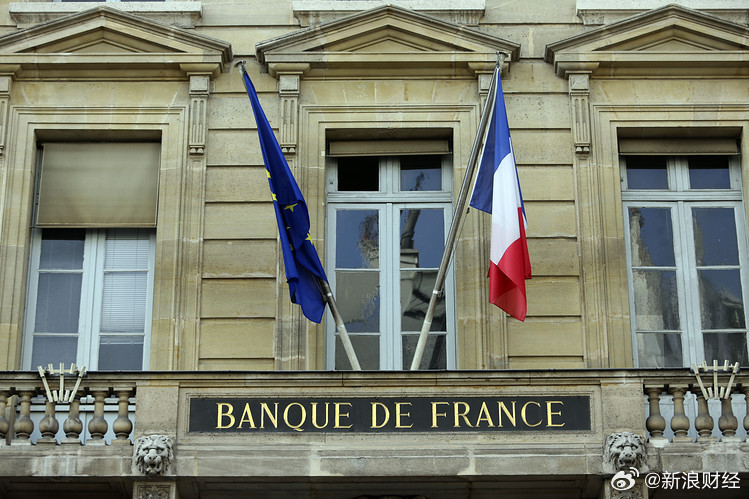 法國形勢最新動態(tài)，變化中的機遇與自信成就之源