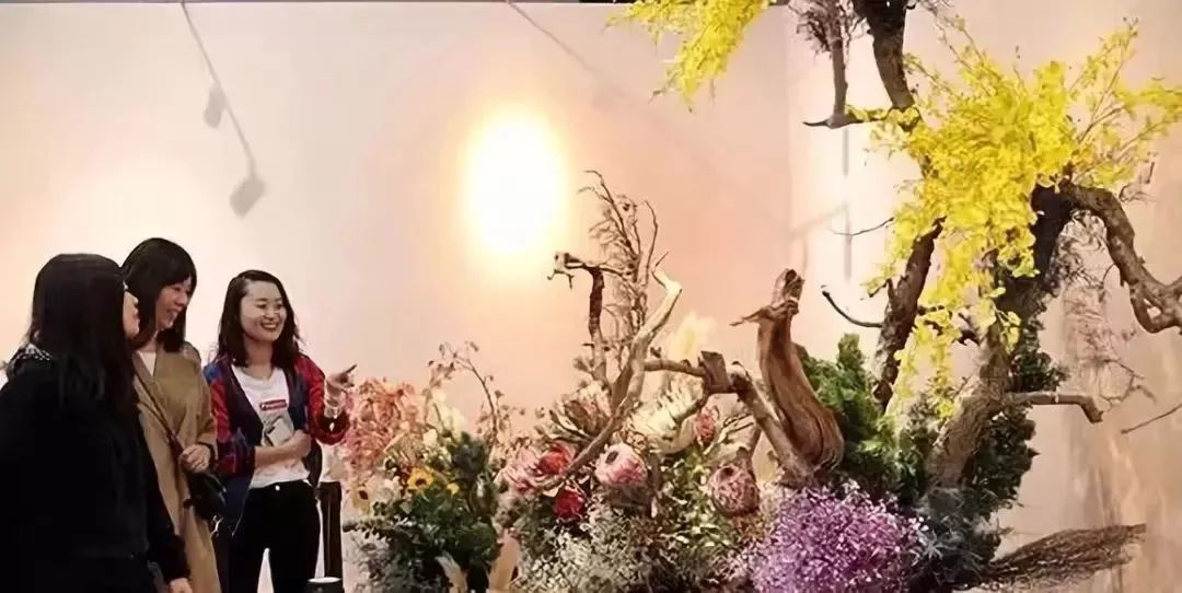 納蘭靜語(yǔ)最新現(xiàn)代作品——智能生活新紀(jì)元，科技重塑未來體驗(yàn)的魅力