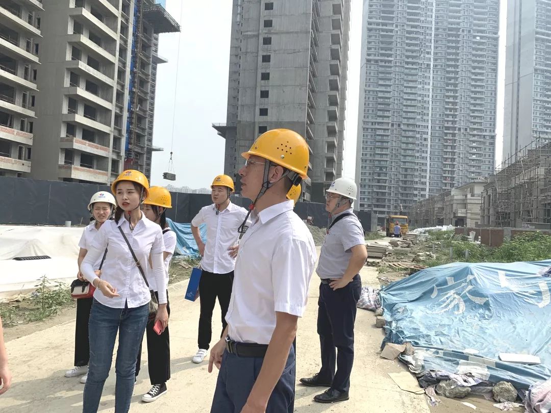 成都洺悅府最新動(dòng)態(tài)揭秘，科技府邸，未來(lái)生活搶先體驗(yàn)