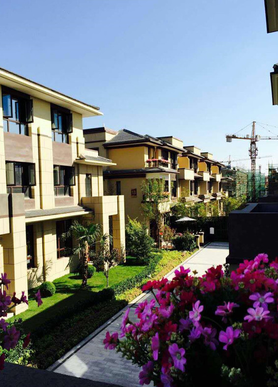 寶格麗小鎮(zhèn)最新資訊，學(xué)習(xí)變化，自信閃耀，共創(chuàng)美好未來成就