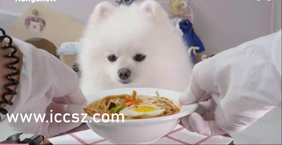 探索日本最新一本道的未知魅力之旅