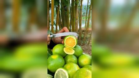 平湖最新資訊，城市脈動與成長見證