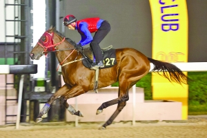 ＂澳門今晚開特馬四不像圖＂的：創(chuàng)新策略設(shè)計_安全版3.6