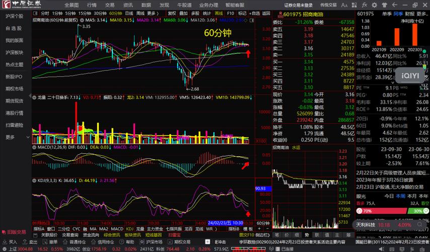 601975股票行情深度分析與展望
