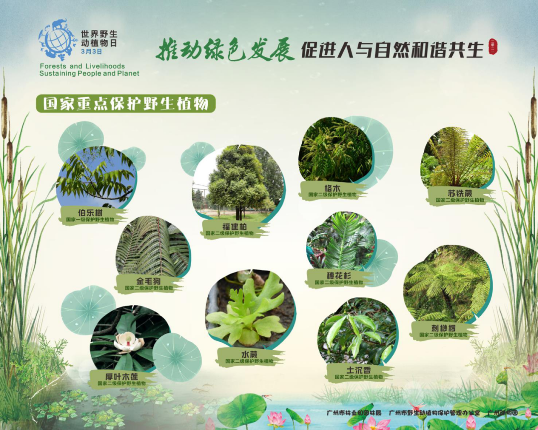 ＂0149開獎(jiǎng)澳門網(wǎng)＂的：植物保護(hù)_見(jiàn)證版3.37