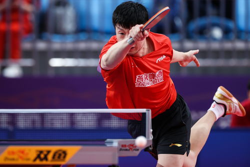 中國乒乓球明星的奮斗與榮耀，見證自信成就的力量之路