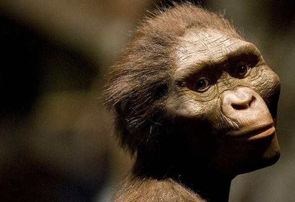 最新人類研究動態(tài)的深度解析與觀點(diǎn)闡述