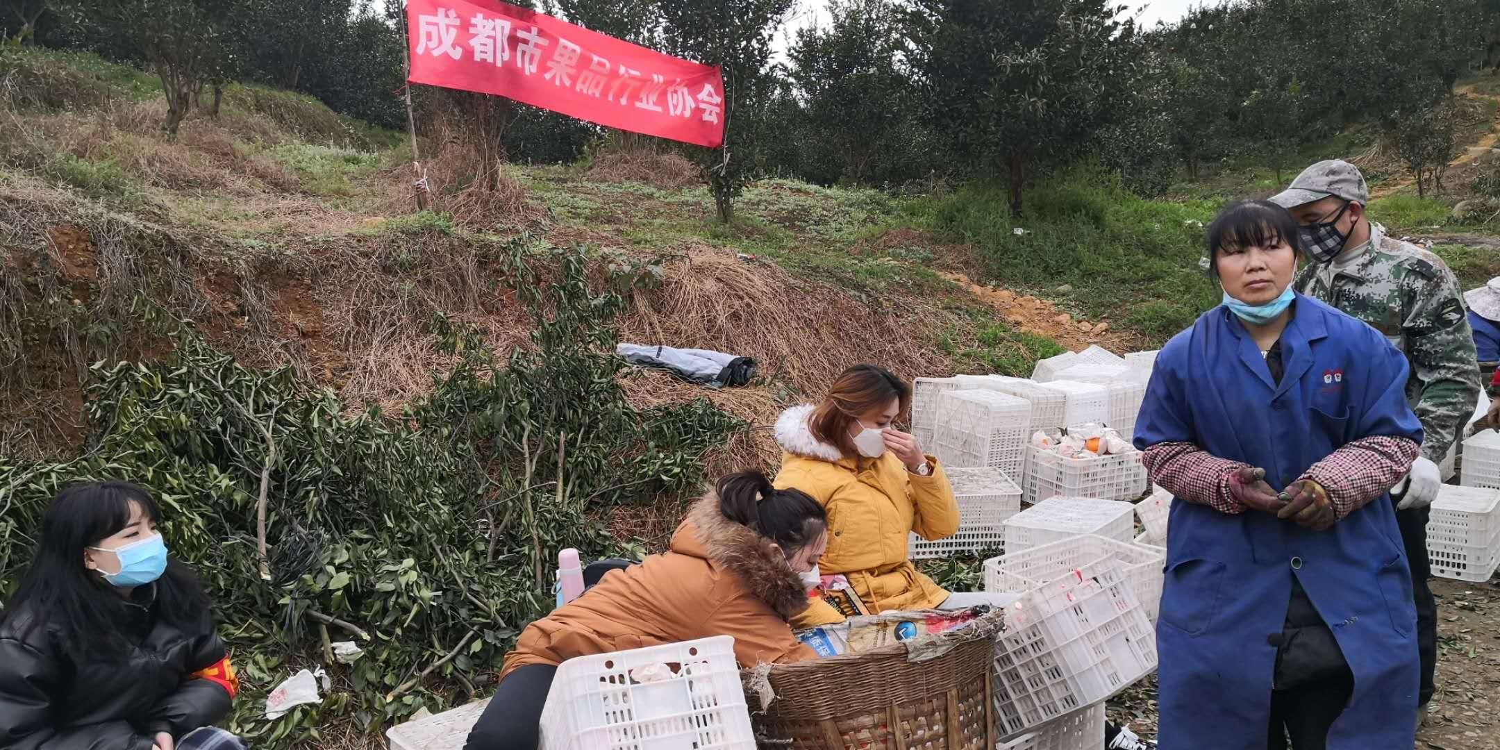 四川省疫情動態(tài)最新情況更新