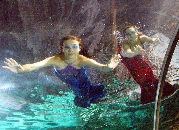 ＂2004新澳精準(zhǔn)資料免費(fèi)＂的：統(tǒng)計信息解析說明_榮耀版8.68