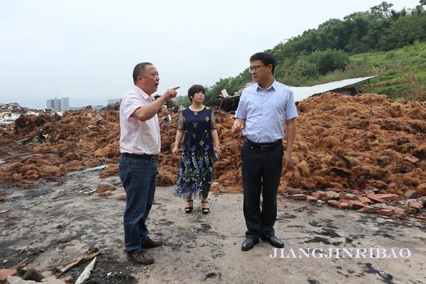 珞璜工業(yè)園規(guī)劃更新啟動(dòng)，重塑產(chǎn)業(yè)生態(tài)藍(lán)圖