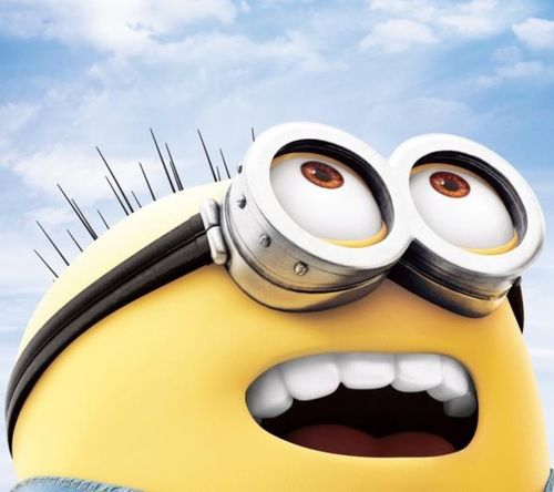 湖南下司犬最新上市，市場現(xiàn)象及各方觀點深度解析