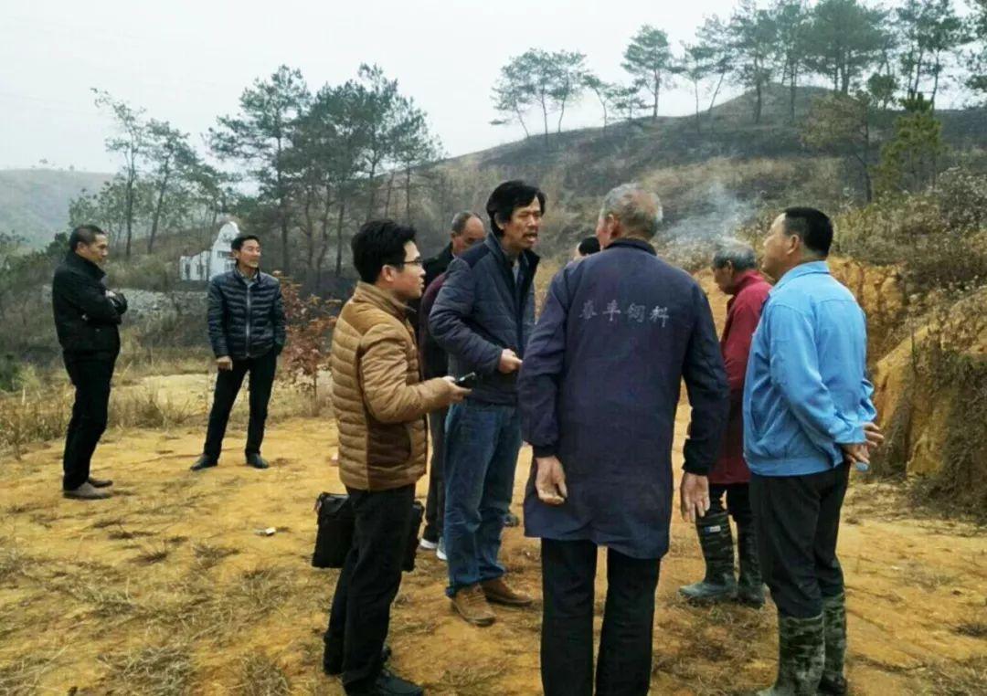 金牌調(diào)解精選，心靈與自然的完美邂逅