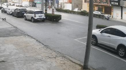 如東駕駛員招聘啟事