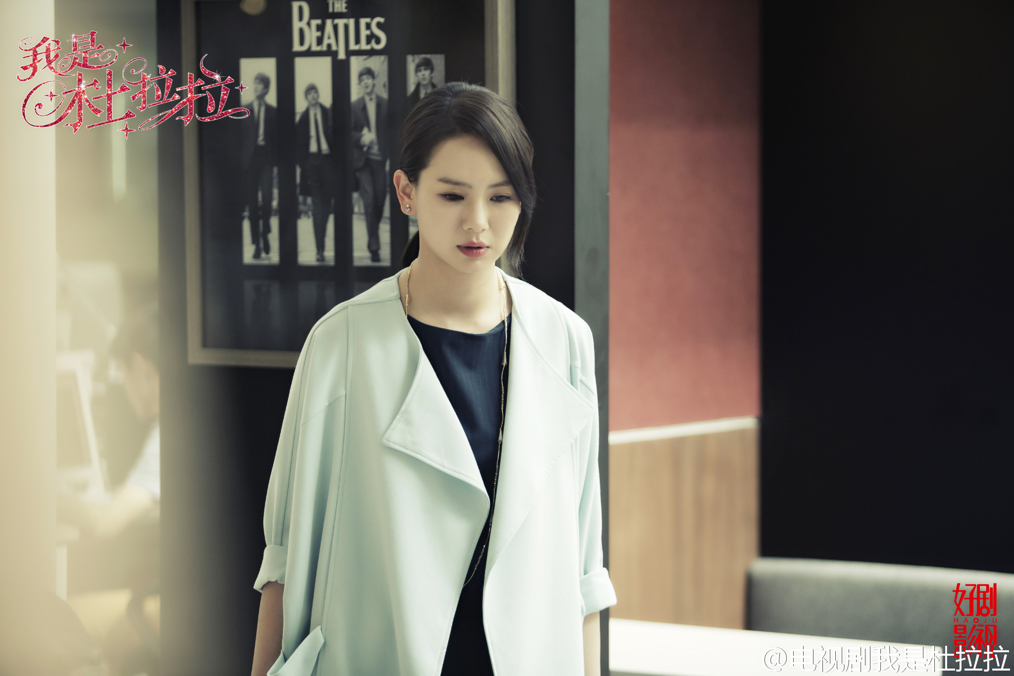 我是杜拉拉演員表全揭秘