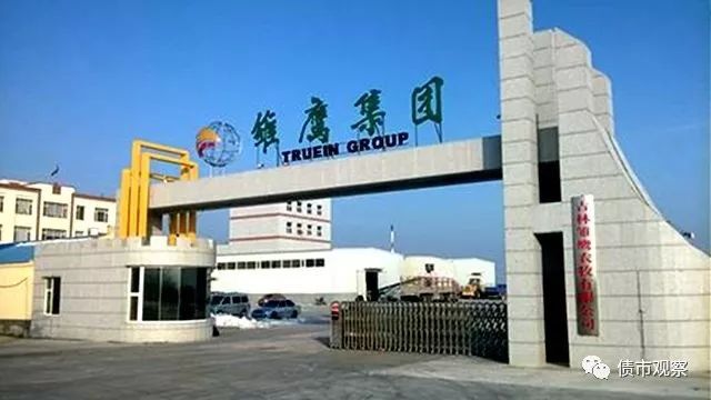 雛鷹農(nóng)牧最新動(dòng)態(tài)，變革中的力量與自信成就感的崛起