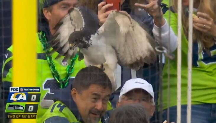 比賽吉祥物，自信與成就感的象征標(biāo)志