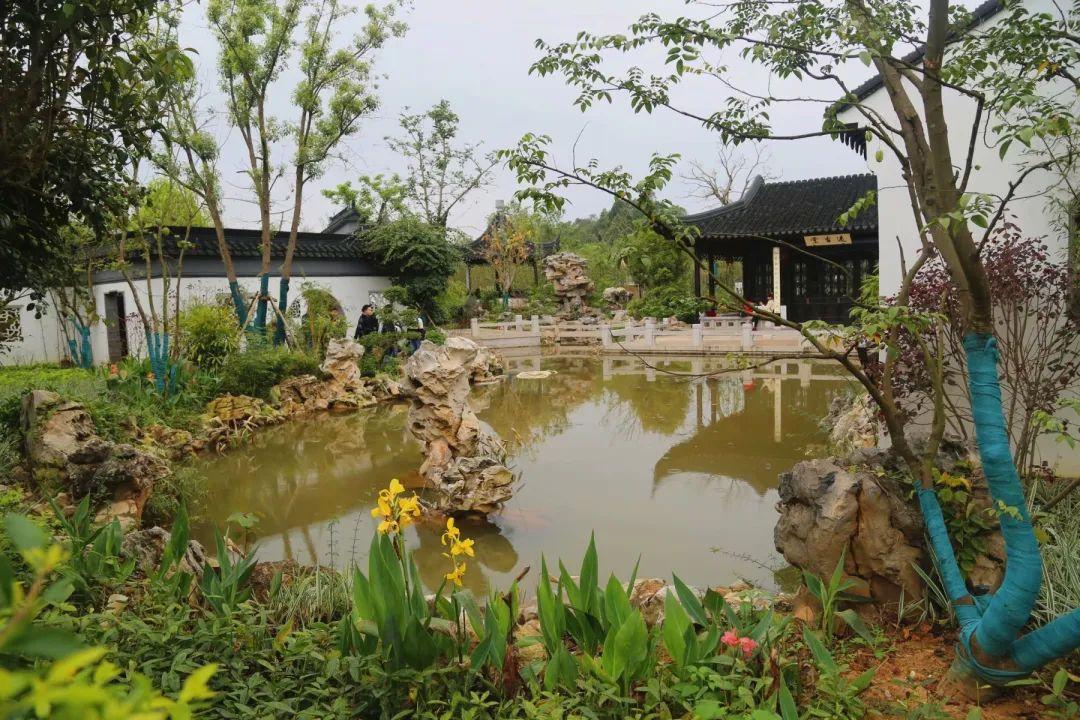 南寧園搏園最新動態(tài)揭秘，游園攻略與技能學(xué)習(xí)指南