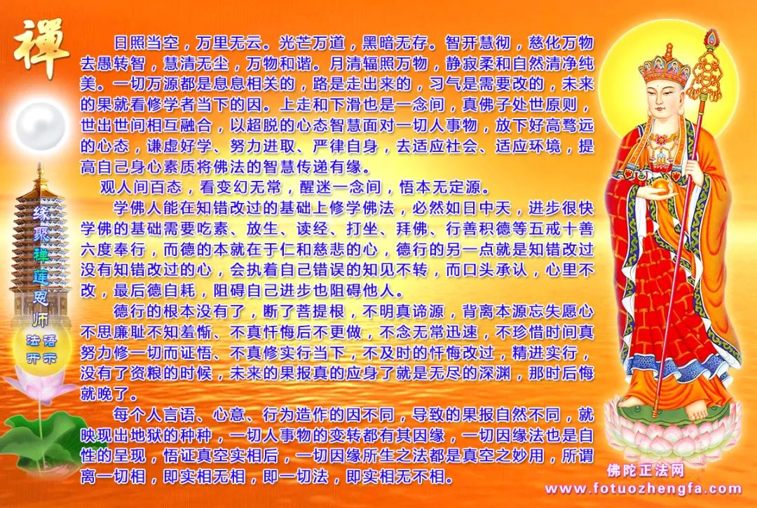 最新佛法開示揭秘，小巷深處的禪意寶藏探尋