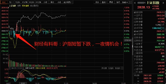 財?shù)佬星榉治雠c操作指南，初學者與進階用戶的必備指南