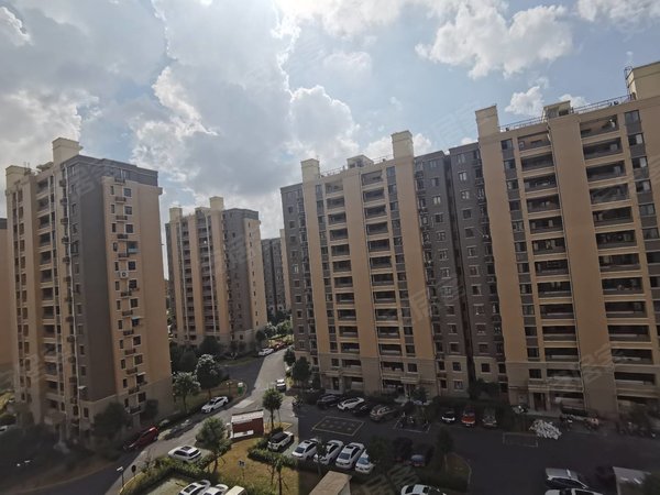 佘山松和苑最新動態(tài)，全面了解與掌握最新資訊