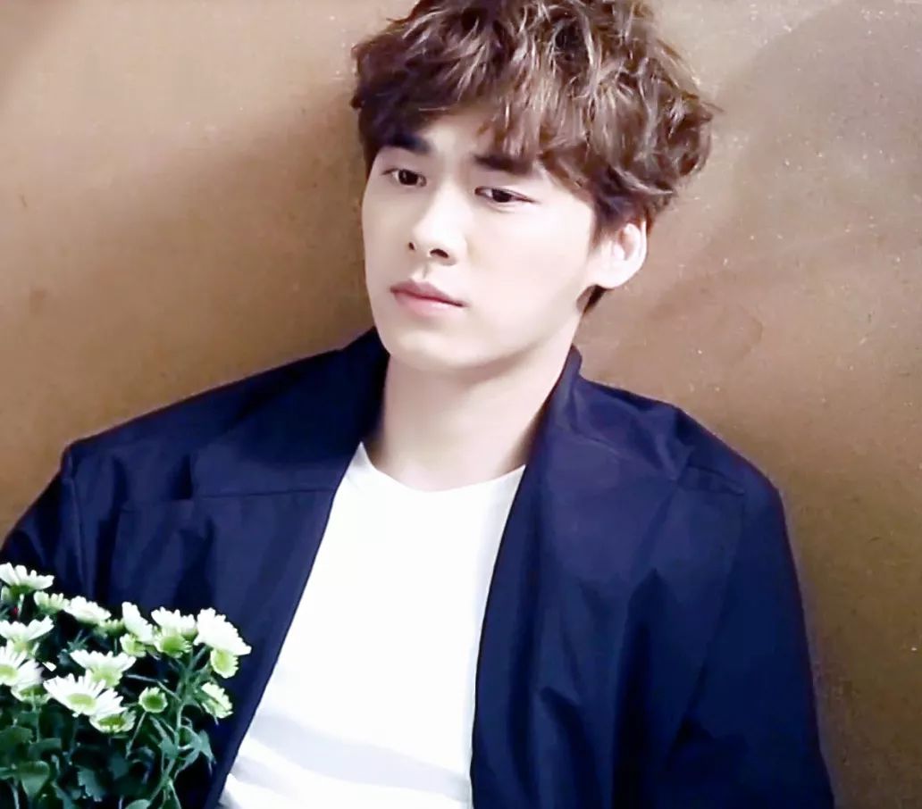 有耳鳴的明星,有耳鳴的明星，探索自然美景之旅，尋找內(nèi)心的寧靜與平和