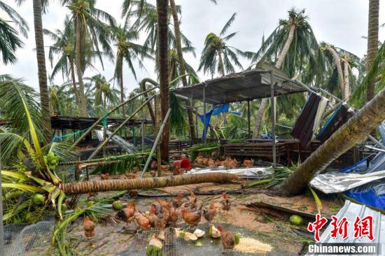 文昌臺(tái)風(fēng)最新消息,????文昌臺(tái)風(fēng)最新消息?????緊急通知！