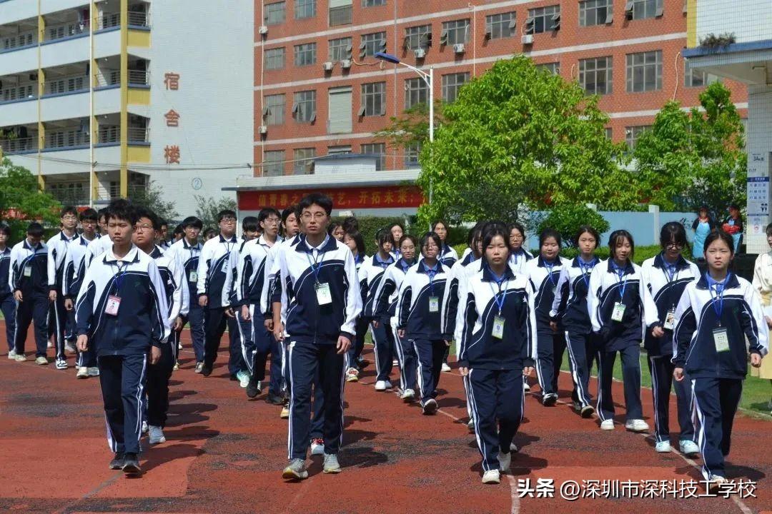 深寶安股票行情解析，前景分析與投資洞察