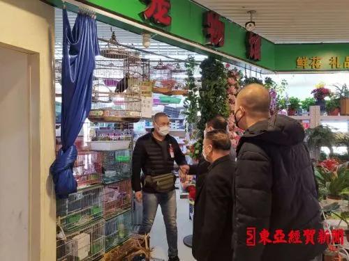 探索自然美景之旅，揭秘2017鷯哥銷售最新資訊，尋找內(nèi)心的平靜與喜悅