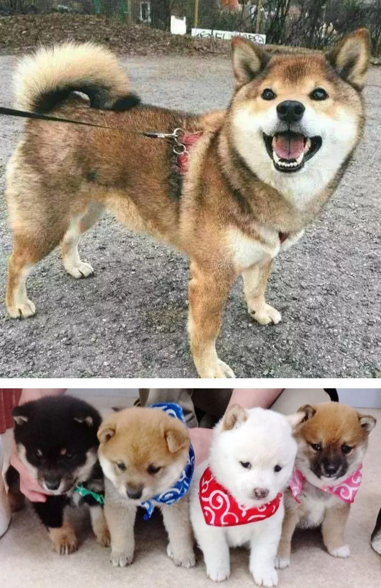 東京時(shí)尚風(fēng)向標(biāo)，探索日本最新潮流資訊