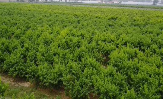 富平最新轉(zhuǎn)讓信息，變化中的機(jī)遇，成就感的源泉，自信閃耀時(shí)刻