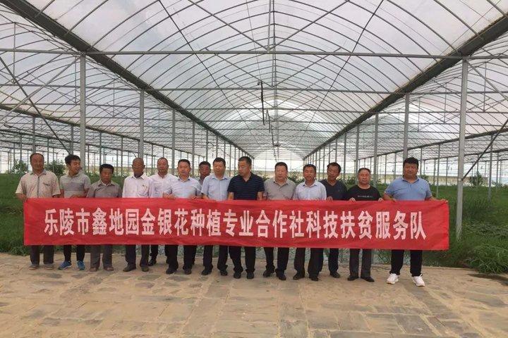 新型環(huán)剝設(shè)備，小巷中的科技新星