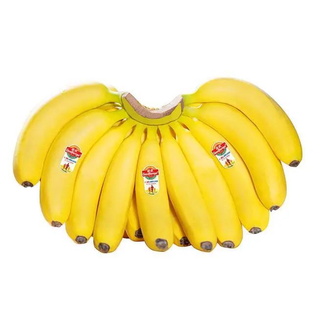 揭秘2017年香蕉行情走勢預(yù)測