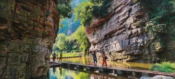 洛陽旅游最新攻略，探索千年古都的魅力