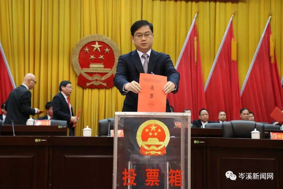 岑溪人事任免信息詳解，獲取指南及初學者進階指南