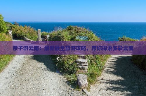 云南旅游最新攻略,云南旅游最新攻略，自信之旅，探索變化中的美景與成就感