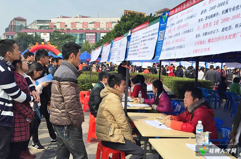 臨桂人才招聘信息,臨桂人才招聘信息——職場(chǎng)發(fā)展的黃金選擇地