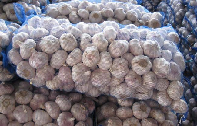 開(kāi)封大蒜最新市場(chǎng)價(jià)格，時(shí)代味道與市場(chǎng)動(dòng)態(tài)同步更新