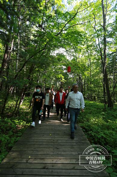 夢(mèng)幻遮天最新版下載攻略，快速獲取下載渠道與指南