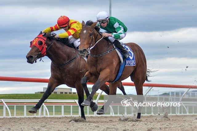 斗馬比賽殘忍視頻直播,斗馬比賽殘忍視頻直播，現(xiàn)象、爭議與反思