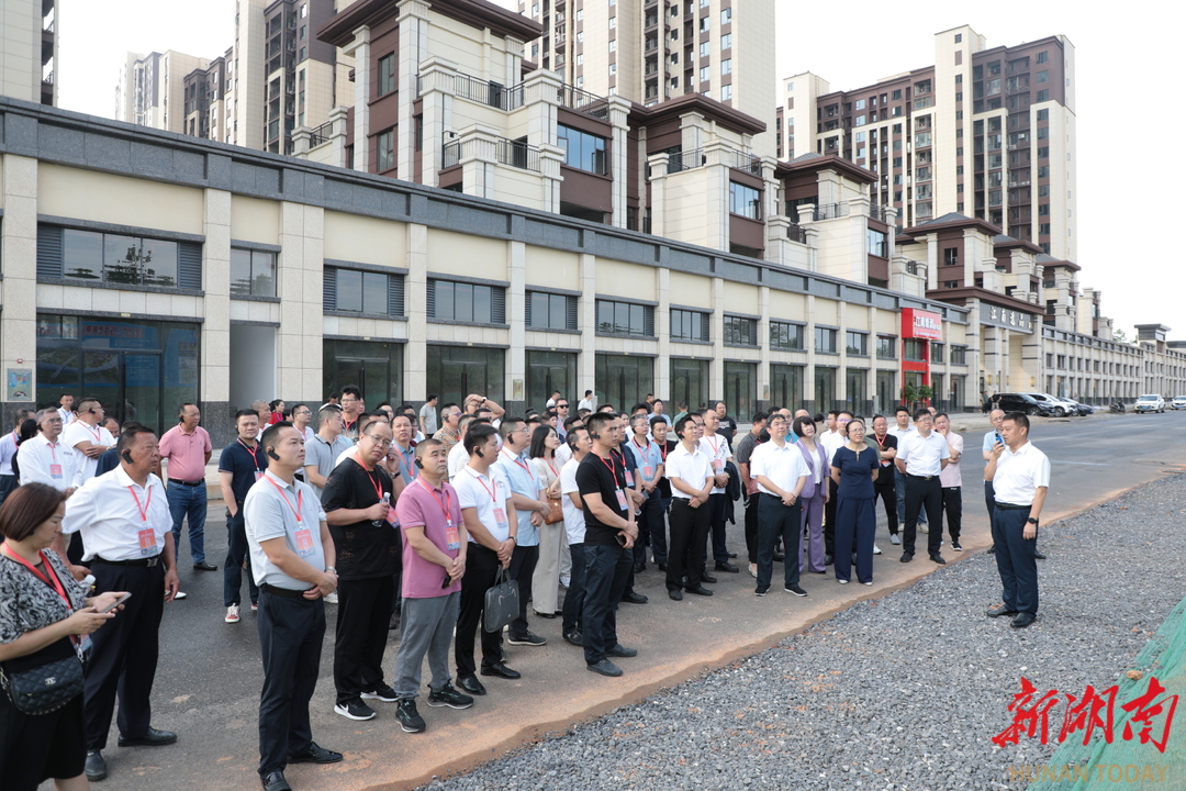 道州紅網最新動態(tài)揭秘，數字時代文化繁榮的影響力