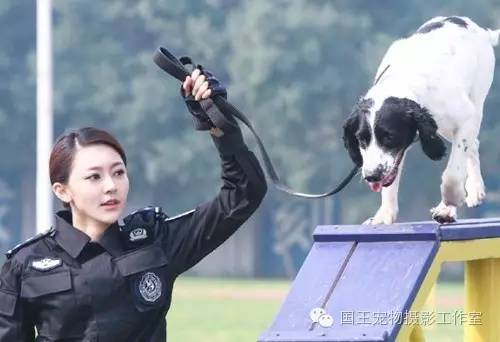 警花與警犬，鐵血柔情演繹真實警魂的演員們