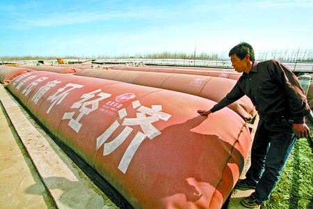 新蔡天龍禽業(yè)最新消息與動態(tài)概覽