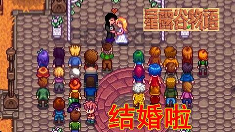 星露谷物語(yǔ)楊桃酒價(jià)格詳解及購(gòu)買(mǎi)指南