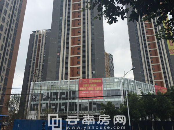 昆明名旺角最新資訊全攻略，資訊獲取指南與動態(tài)速遞