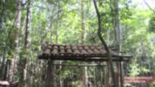 澳洲小哥荒野求生紀實，學習荒野求生技能的必備指南