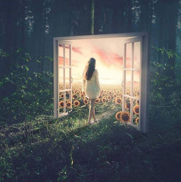 微信收費服務(wù)位置查詢最新探討，功能解析與影響分析