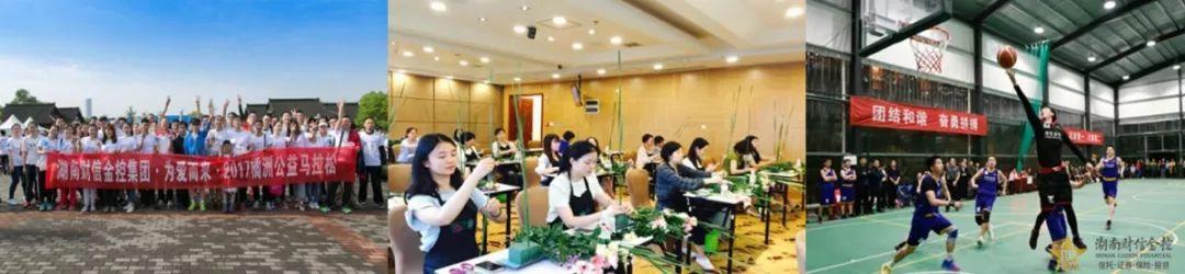 財(cái)信發(fā)展最新公告深度解讀與觀點(diǎn)闡述