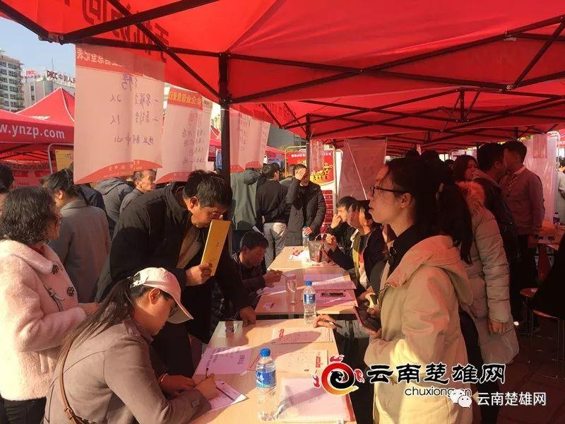 東鄉(xiāng)縣最新招聘資訊，職業(yè)發(fā)展的理想選擇地，尋找人才與機遇的交匯點